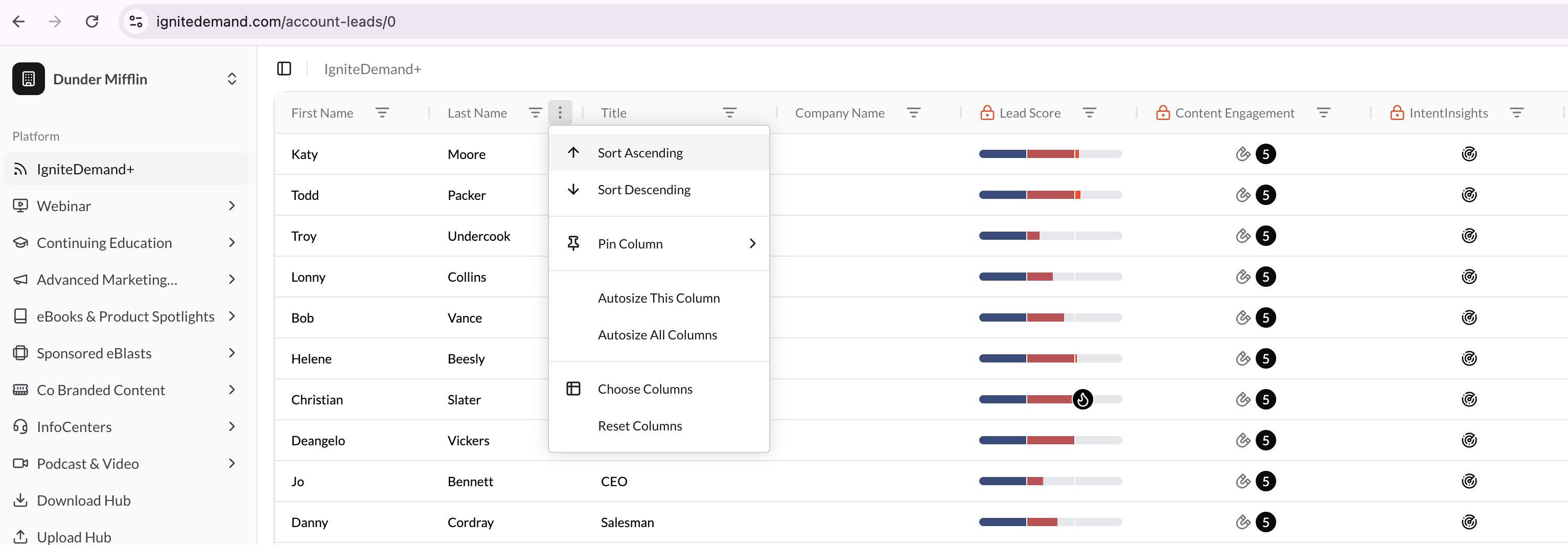API endpoints linking IgniteDemand platform to CRM and analytics tools